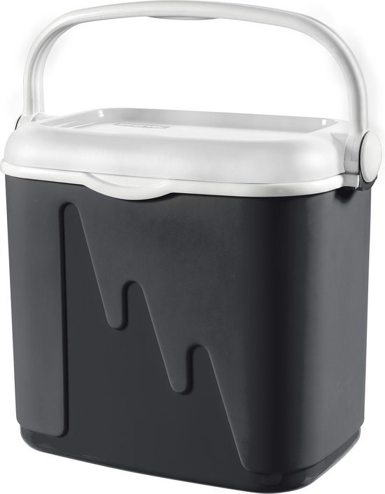 Curver Koelbox - 32L - Antraciet