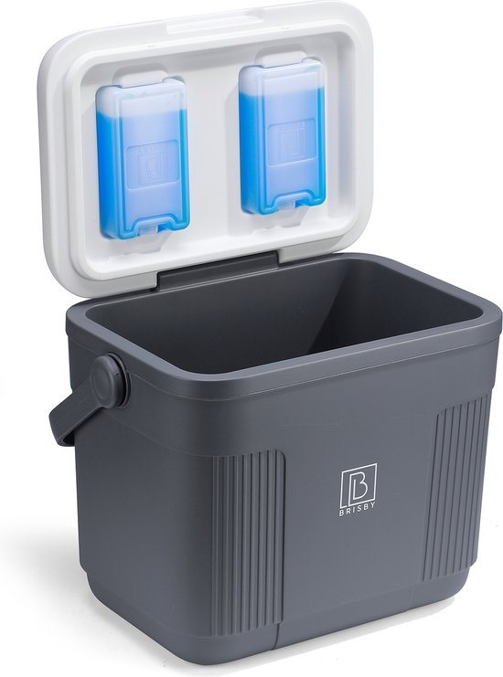 Brisby Grote Koelbox 22 Liter – Grijs – Tot 40 uur isolatie – 4 koelelementen vergrendeld in deksel – Ideaal voor camping en dagje uit – Frigobox
