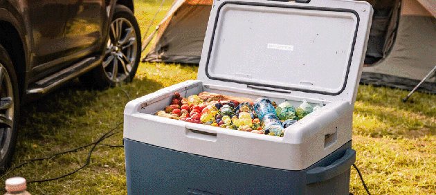 Koelboxen (12V/230V)