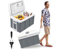 NAIZY Koelbox Auto 12V 230V Elektrisch 48L Koelbox Mini Koelkast, Thermobox Met Warmtevasthoudingsfunctie Voor Auto, Vrachtwagen, Boot En Camping